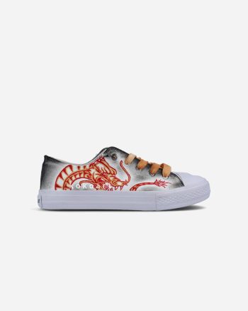 Red and Orange Dragon and Tiger Hand Painted Shoes